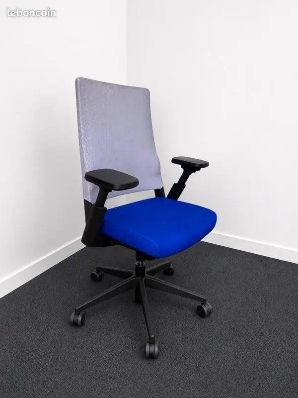 Forma 5 Kineo - Siège ergonomique de bureau – Assise bleue / Gris · photo 2