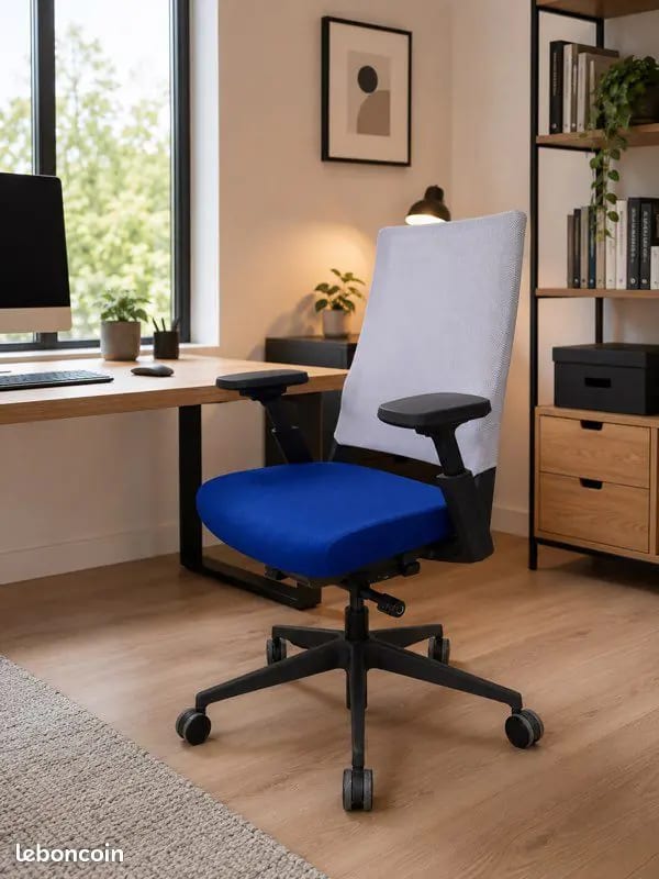 Forma 5 Kineo - Siège ergonomique de bureau – Assise bleue / Gris · photo 1